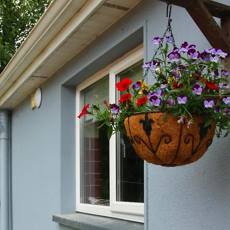 Leitrim Quay - Riverside 8 Ferienhaus County Leitrim