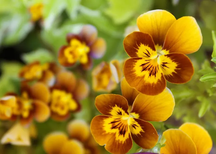 Dom wakacyjny Leitrim Quay - Riverside 8